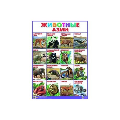 Плакат. Животные Азии (550х770)