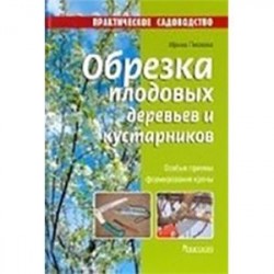 Обрезка плодовых деревьев и кустарников