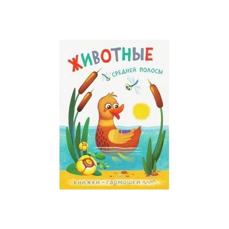 Книжки-гармошки. Животные средней полосы