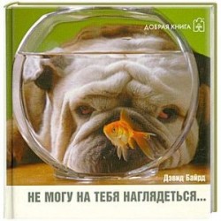 Не могу на тебя наглядеться…