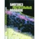 Биогенез растительных волокон