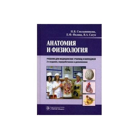 Учебник анатомии и физиологии человека читать. Смольянникова н.в анатомия. Анатомия и физиология Смольянникова Фалина. Анатомия и физиология человека Смольянникова. Анатомия и физиология Смольянникова Фалина Сагун.
