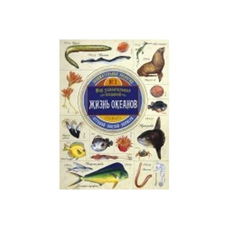 Занимательная зоология.Жизнь океанов