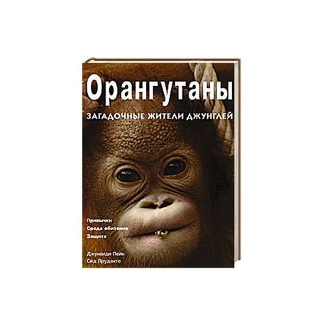 Орангутаны. Загадочные жители джунглей