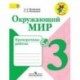 Окружающий мир. 3 класс. Проверочные работы