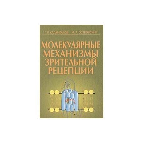 Молекулярные механизмы зрительной рецепции