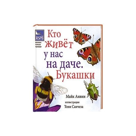 Кто живет у нас на даче? Букашки