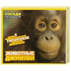 Животные джунглей