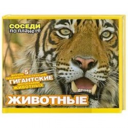 Животные. Внутри 5 объемных конструкций. Гигантские фотографии животных.
