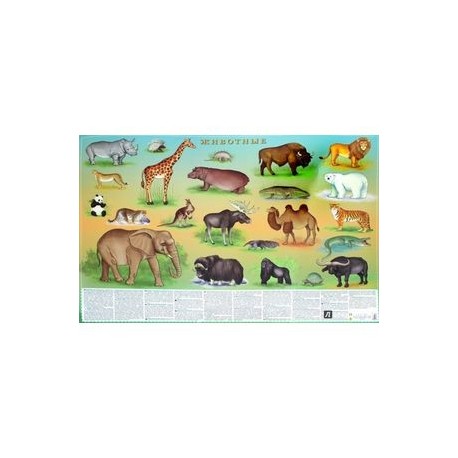 Животные. Цифры и факты. Настольное издание