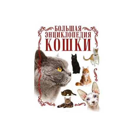 Кошки. Большая энциклопедия