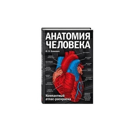 Анатомия человека. Компактный атлас-раскраска