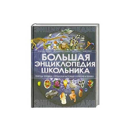 Большая энциклопедия школьника