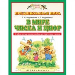 В мире чисел и цифр. Учебно-методическое пособие