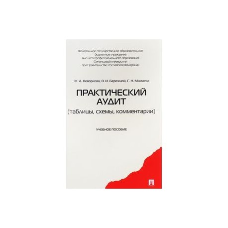 Практический аудит (таблицы, схемы, комментарии). Учебное пособие