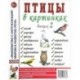 Птицы в картинках. Выпуск 2. Наглядное пособие для педагогов, логопедов, воспитателей и родителей