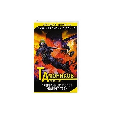 Прерванный полет «Боинга-737»