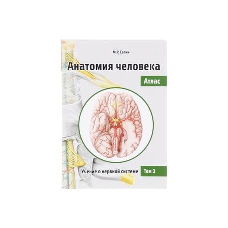 Анатомия человека. Атлас. Учебное пособие. В 3-х томах. Том 3. Учение о нервной системе