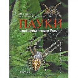 Пауки европейской части России