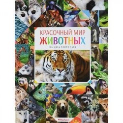 Красочный мир животных