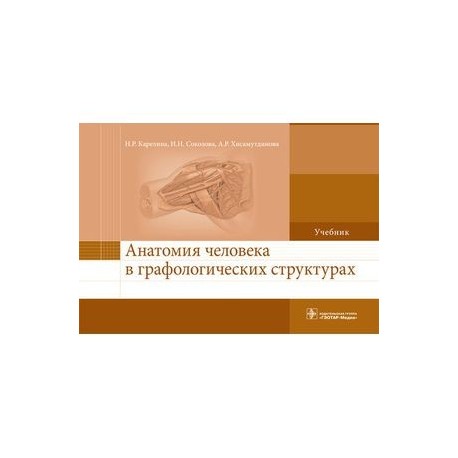 Анатомия человека в графологических структурах