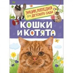 Кошки и котята