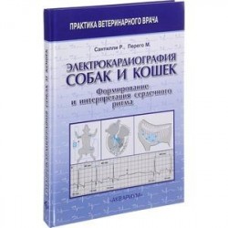 Электрокардиография собак и кошек. Формирование и интерпретация сердечного ритма