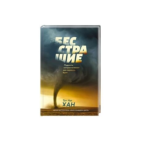 Бесстрашие. Мудрость, которая позволит вам пережить бурю
