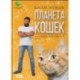 Планета кошек