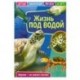 Детская энциклопедия 'Жизнь под водой'