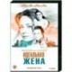 Идеальная жена. (4 серии). DVD