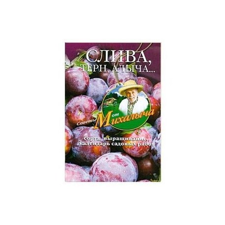 Слива, терн, алыча... Сорта, выращивание, календарь садовых работ