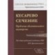 Кесарево сечение. Проблемы абдоминального акушерства. Руководство для врачей