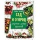 Сад и огород. Секреты легких урожаев