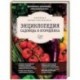 Новейшая иллюстрированная энциклопедия садовода и огородника