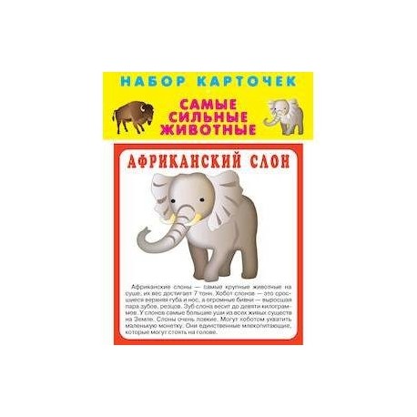 Набор карточек 'Самые быстрые животные'