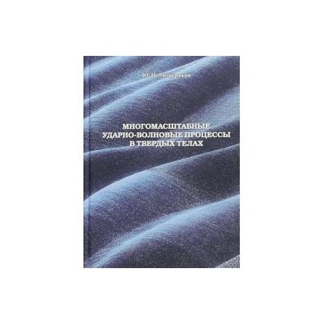 Многомасштабные ударно-волновые процессы в твердых телах
