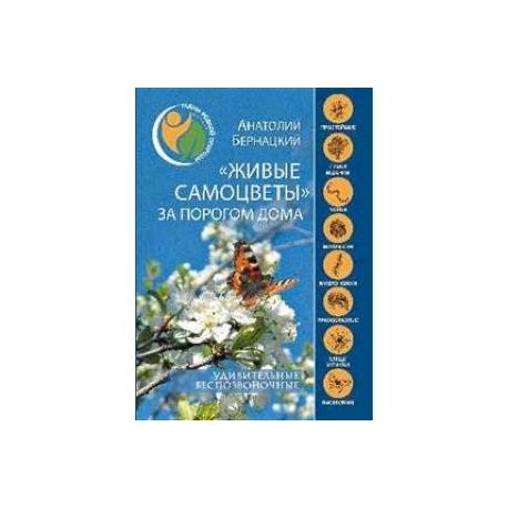 'Живые самоцветы' за порогом дома. Удивительные беспозвоночные