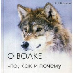 О волке: что, как и почему