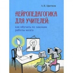 Нейропедагогика для учителей: как обучать по законам работы мозга