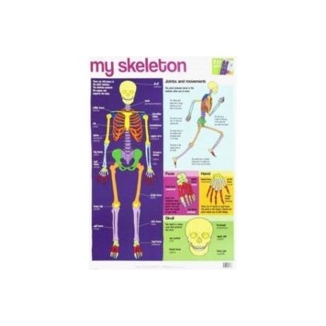 My Skeleton chart