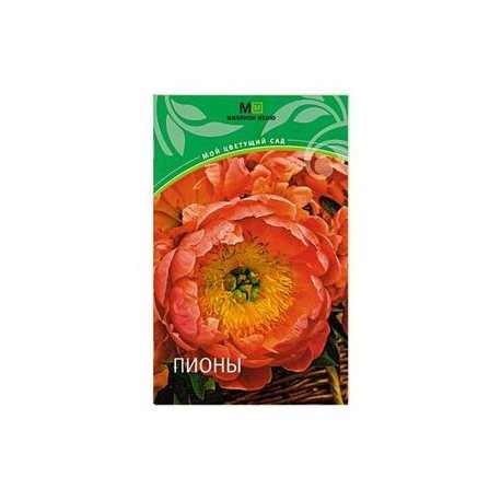 Пионы
