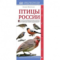 Птицы России. Наглядный карманный определитель