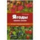 Ягоды наших лесов. Атлас-определитель