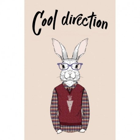 Cool direction (А5, мягкая обложка)