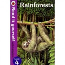 Rainforests