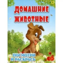 Домашние животные. Детская раскраска