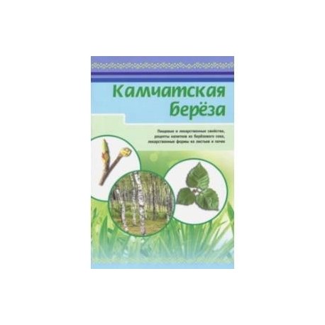 Камчатская береза