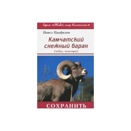 Камчатский снежный баран (чубук, толсторог)