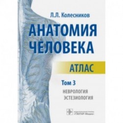 Анатомия человека. Атлас. В 3-х томах. Том 3. Неврология, эстезиология